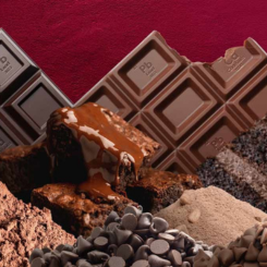 CHOCOLATE PRODUCTS